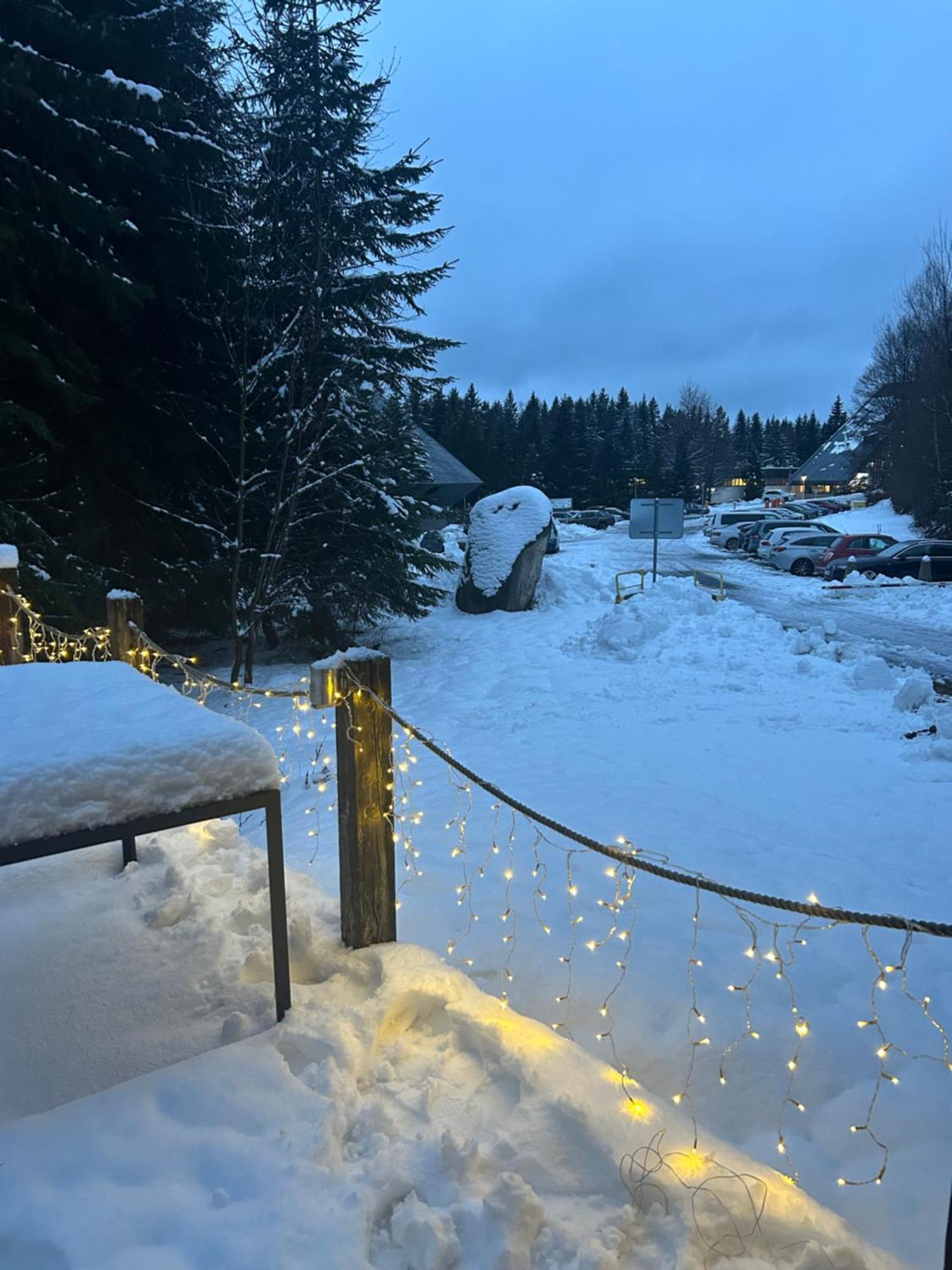 Horsky Chalet Гаррахов Экстерьер фото